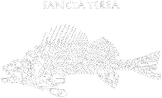 Sancta Terra